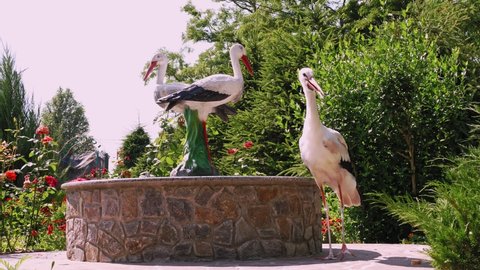 White stork. close-up. a live bird, a white stork walks next to the sculpture of two storks. European White Stork bird. ciconia ciconia.