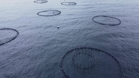 Aerial Aquaculture Fish Farms witn fish hatchery in sea
