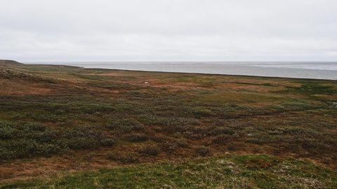 Nice view of Yamal peninsula land. View of landswell line from shore. Kara sea.