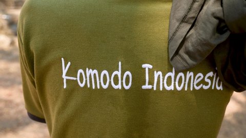 Close-up of a moving Komodo dragon. 4K Beautiful background in Komodo National Park, Indonesia. Wild nature in Komodo Island.