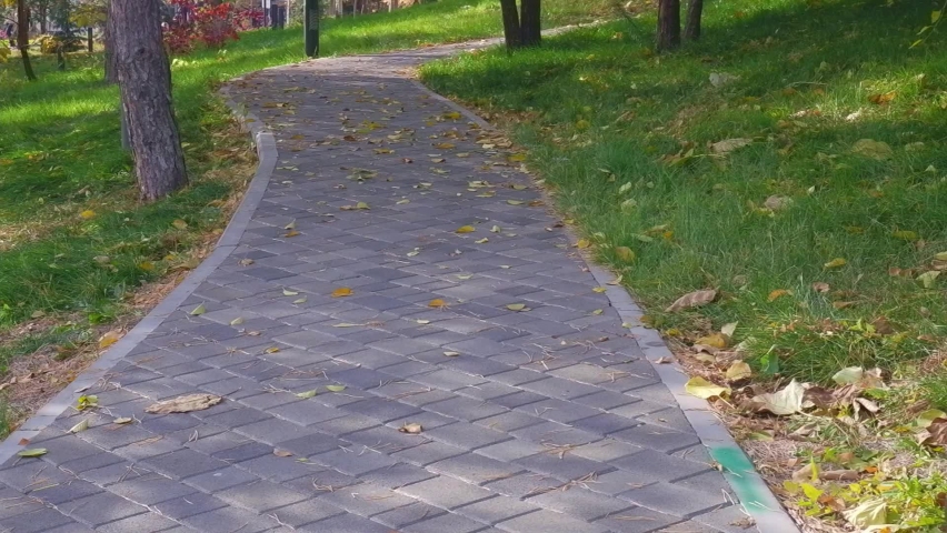 man and woman legs walk together in the city autumn park. Close-up view of unrecognizable male and female feet spending time in an autumn location. Unidentified people move on the street in the foliag