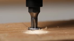 Slow motion cordless screwdriver screws in a bolt in wood, epic macro shot - Powered by Shutterstock - Get 15% off with code: PIKWIZARD15