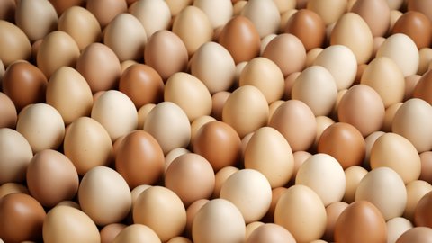 Seamless looping animation of enormous numbers of eggs. Raw hen's eggs. Fresh eggs for sale at a market. Healthy fresh food ingredients for breakfast. Animal products. Grocery. Chicken farm fresh eggs