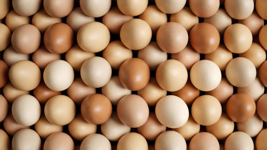 Seamless looping animation of enormous numbers of eggs. Raw hen's eggs. Fresh eggs for sale at a market. Healthy fresh food ingredients for breakfast. Animal products. Grocery. Chicken farm fresh eggs Royalty-Free Stock Footage #1081258361