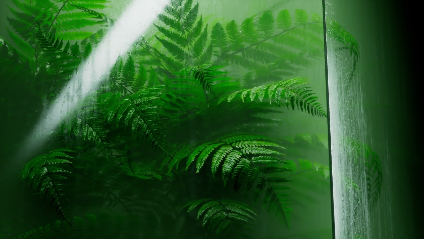 Beautiful fern behind the wet glass. Natural forest's plants in the glasshouse. Foliage from a tropical environment. Water vapour. Nature. Botany. Botanical garden. Perfect for science education. Royalty-Free Stock Footage #1081258877