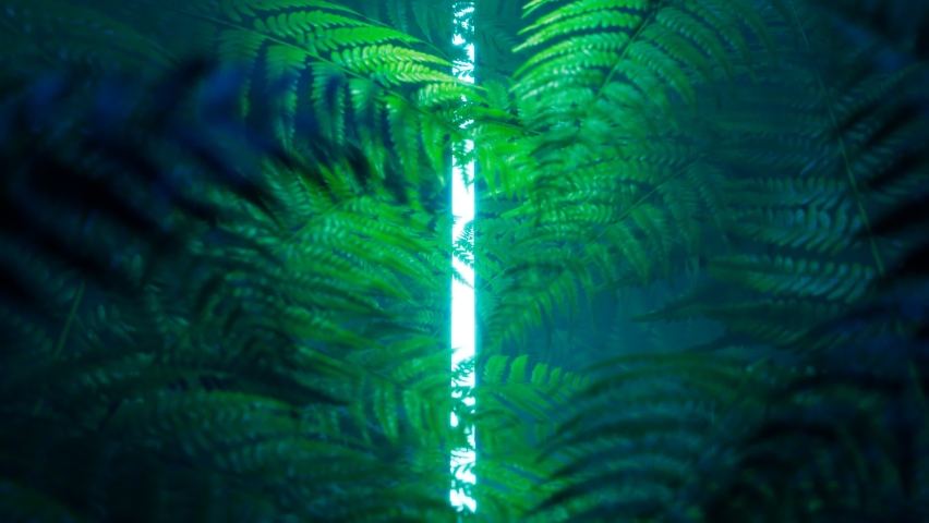 Seamless looping animation of green leaves of ferns with neon light. Natural forest's plants. Foliage from the tropical environment. Nature. Botany. Botanical garden. Perfect for science education Royalty-Free Stock Footage #1081259096