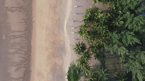 Aerial view top view of Coconut palm trees on the beautiful Karon beach Phuket Thailand Amazing sea beach sand tourist travel destination in the andaman sea Beautiful phuket island in sunset time