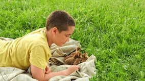 Amazed and happy boy taking care of his pets. Taking care of a pet. Young happy boy taking care of little ducklings outdoors. Funny boy feeding animals on farm. Little boy takes care of a pets.
