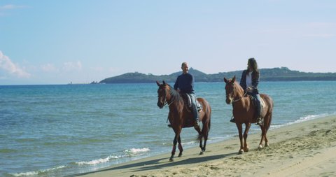 Cinematic shot of young happy carefree couple in love is enjoying to ride together purebred brown horses during romantic vacation on seashore with sun shining.active, adventure, animal, beach, breed, 