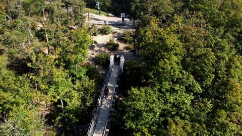 Video from a drone flying over a suspended wooden bridge with steel ropes over a dense forest in West Germany, visible tourists walking on the bridge.
