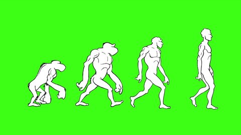 69 Human Evolution Cartoon Stock Video Footage - 4K and HD Video Clips |  Shutterstock