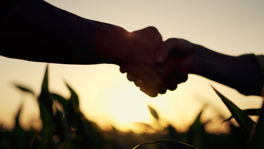 Agriculture. Farmers handshake in corn farm. Dialogue between two businessmen to sign contract. Handshake to conclude contract.Farmers on corn plantation.Agricultural business concept.Hands silhouette | Shutterstock HD Video #1081305131