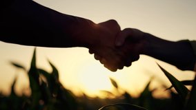 Agriculture. Farmers handshake in corn farm. Dialogue between two businessmen to sign contract. Handshake to conclude contract.Farmers on corn plantation.Agricultural business concept.Hands silhouette - Powered by Shutterstock - Get 15% off with code: PIKWIZARD15