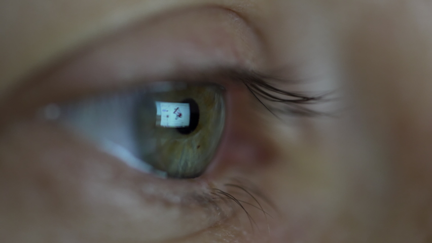 Extreme Close-Up of Female Eye Looking Into Computer Monitor. Young Woman Surfs Internet at Night. Monitor Reflects in Eyes