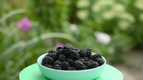 The man puts the blackberries on a plate. A plate of blackberries rotates against the backdrop of a shining garden. Side view. 4K UHD video footage 3840X2160.