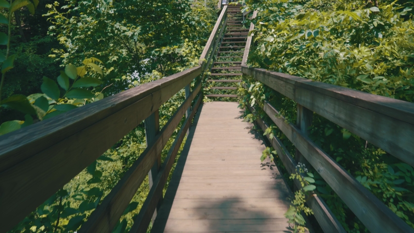Epic footage of a footbridge leading up to Amicalola Falls, the largest waterfall in all of Georgia – towering over the area at 729 feet tall