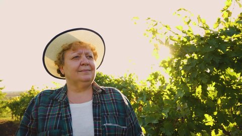Portrait of a elderly female farmer with hat, standing in a vineyard. Villagers and farmers. Woman winemaker and vineyard owner.