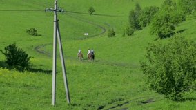a rear view, from the back, of people, tourists, riders on horseback, who are riding away across a green field against the background of power lines