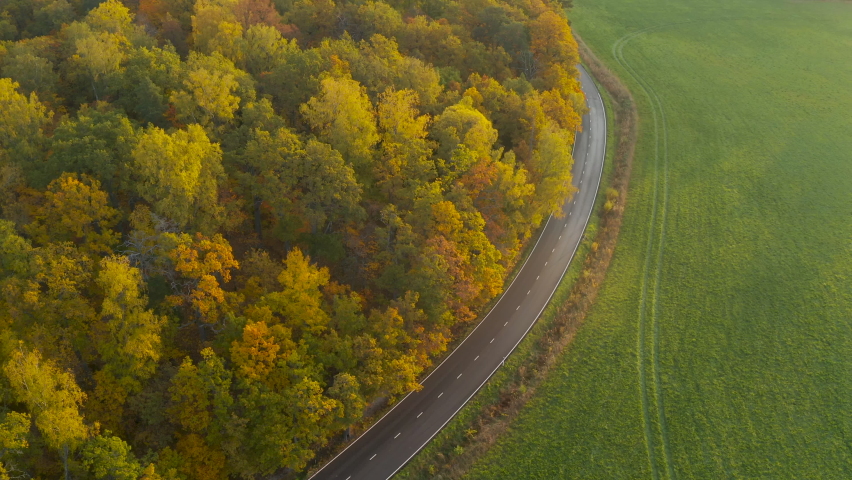 A road next to lush forest in autumn colors. Aerial view of lush fall foliage and a road.