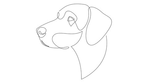 Self drawing simple animation of single continuous one line drawing German Shorthaired Pointer dog. Deutsch Kurzhaar head drawing by hand. The concept of pets, veterinary