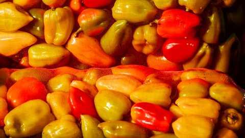 Bell peppers. Salad bell pepper packing bag. Market background. Pepper harvest. Wholesale market business selling food.
