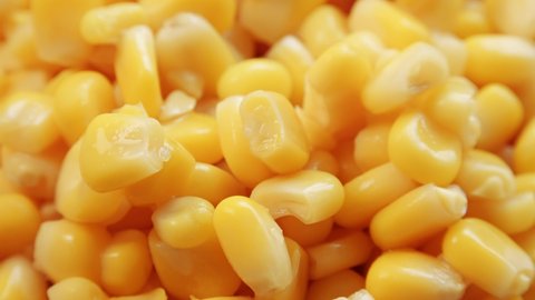 Tinned sweet corn kernels extreme close up rotating very slowly stock footage