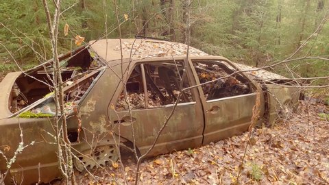 Abandoned Old Rusty Car Forgotten in The Woods, Entire Car Disposed to the Nature, Careless People Disposing Metal Junk Selfishly, The Car is Covered in Leaves, Found in Fall in Finnish Forest