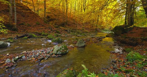 Beautiful Mountain river autumn background flowing water nature forest 4k video