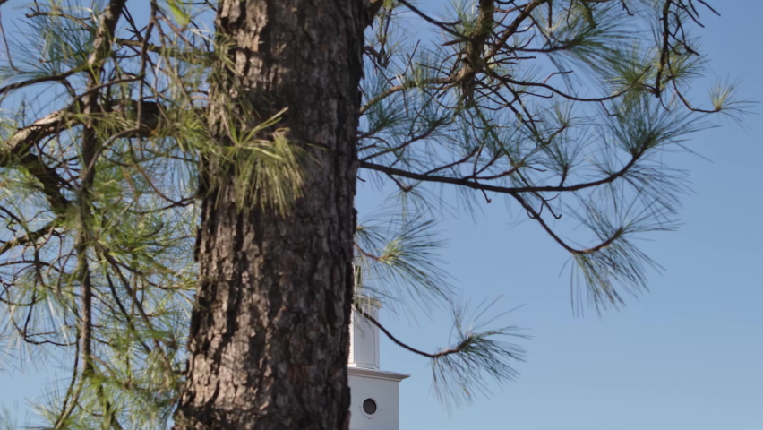 Steeple in the sky behind pine tree 4K