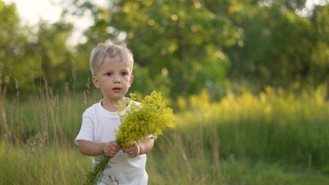 Happy kid in flower field. Child with bouquet of flowers.Boy walks along flower meadow with bouquet of flowers.Outdoor natural park. Happy baby is taking first steps.Child holding flowers in his hands
