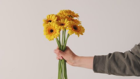 Hand holds bouquet of yellow gerbera flowers on a white background. Delivery of flowers 