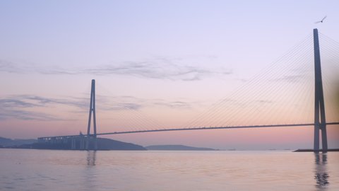 Silhouette of the cable-stayed Russian bridge across the Eastern Bosphorus strait at sunrise, early morning. The water is calm and seagulls are flying above the surface