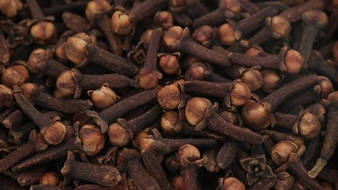Spice Whole Cloves rotate. Spice cloves. 4K UHD video