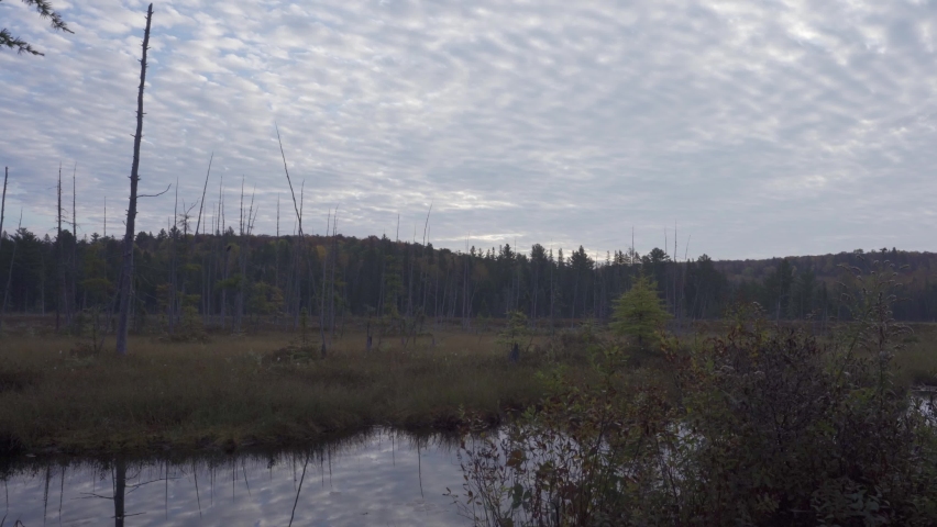 Zooming Out Shot Of Dramatic Clouds In Fall, Algonquin Park