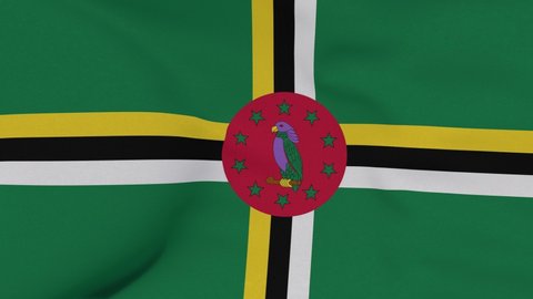 flag Dominica patriotism national freedom, seamless loop