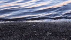 Background video water on rocky beach at sunset evening. Small ripple waves on shoreline in slow motion