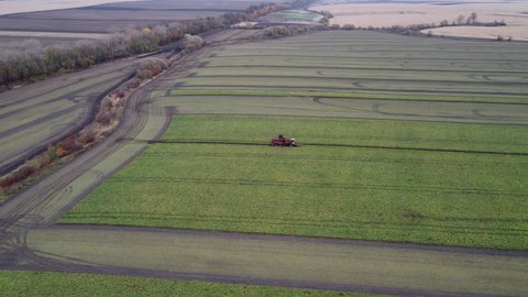 Aerial view of a field with beets, where the combine harvests sugar beets. The combine is in operation. Agricultural machine in the field.