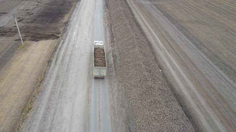 Top view of sugar beet harvest and truck transporting beets to sugar factories