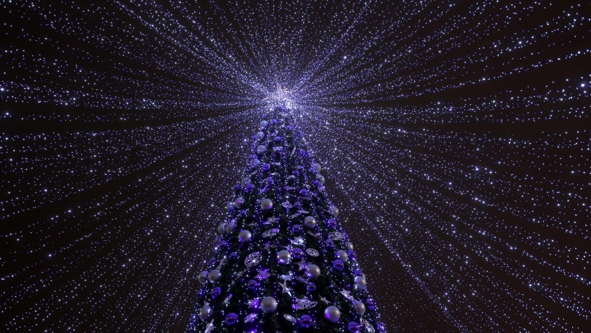 Christmas tree in the city. The main city Christmas tree. Tall christmas tree decorated and illuminated outdoors	
