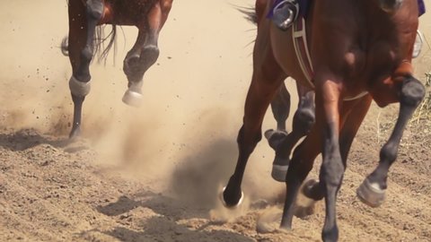 Hooves of Several Racehorses Raise a Cloud of Dust. Close-up. Slow Motion