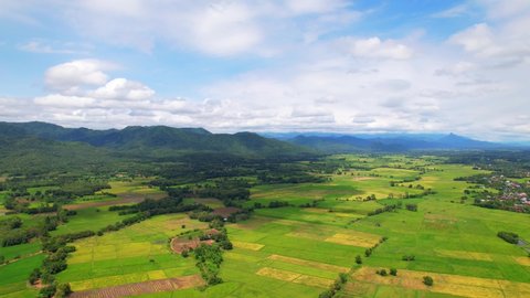 4K, A green rice field waving in the wind, Green rice plants growing. Nature Aerial footage. Aerial view of agriculture in rice fields for cultivation. Natural the texture for background