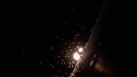 Flying Midges, Mosquitoes on Street Lamps at night time. A flock of midges circles around the lanterns under the illuminated bridge. Insects, moths, flying into the light at night. 4K. Slow motion.