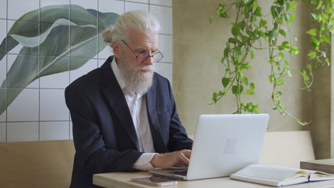 Greyhaired professor working on laptop sitting in cafe, online business project