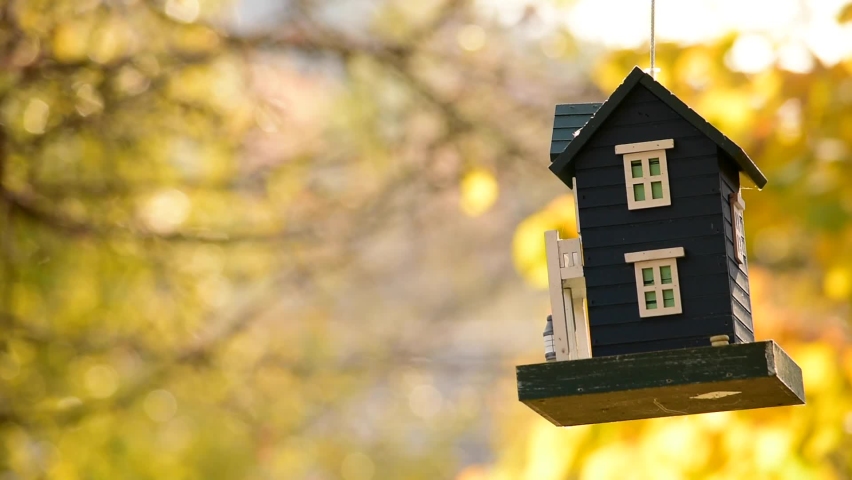Songbird flying on birdfeeder.Beautiful Nuthatch (Sitta europea) flying into the feeder, which looks like small blue house with with balcony and windows, for nuts in autumn backyard