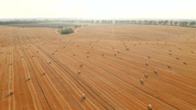 Shooting from a quadcopter flying over the golden field with roll bales of wheat straw. Haymaking in autumn season. Ukrainian agrarian region, Europe. Cinematic aerial shot. Filmed in 4k, drone video.