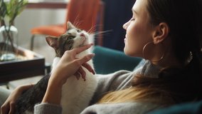 Woman petting cat on sofa in living room. Female owner stroking grey kitten close-up. Furry pedigreed pet relaxing and purring. Little best friends. Happy domestic animals at home. - Powered by Shutterstock - Get 15% off with code: PIKWIZARD15