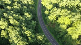 aerial view of cornering cars in the woods