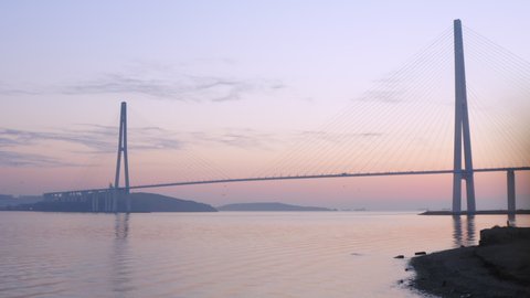 Sliding view of silhouette of the cable-stayed Russian bridge across the Eastern Bosphorus strait at sunrise, early morning. The water is calm and seagulls are flying above the surface