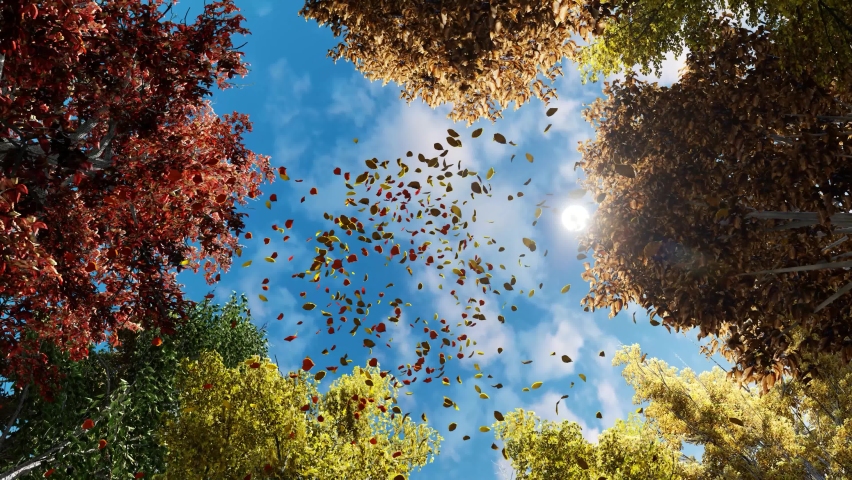 4K. Colorful falling autumn leaves. View through the autumn foliage in the mountain forest. Golden tree leaves. Look up at the golden autumn leaves falling. Slow motion. 3D Animation. | Shutterstock HD Video #1081495274