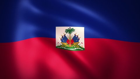 Flag of Haiti Waving in the Wind (CG | LOOP)